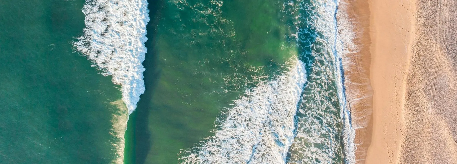 OSEA Seaglow Overnight Serum on beach